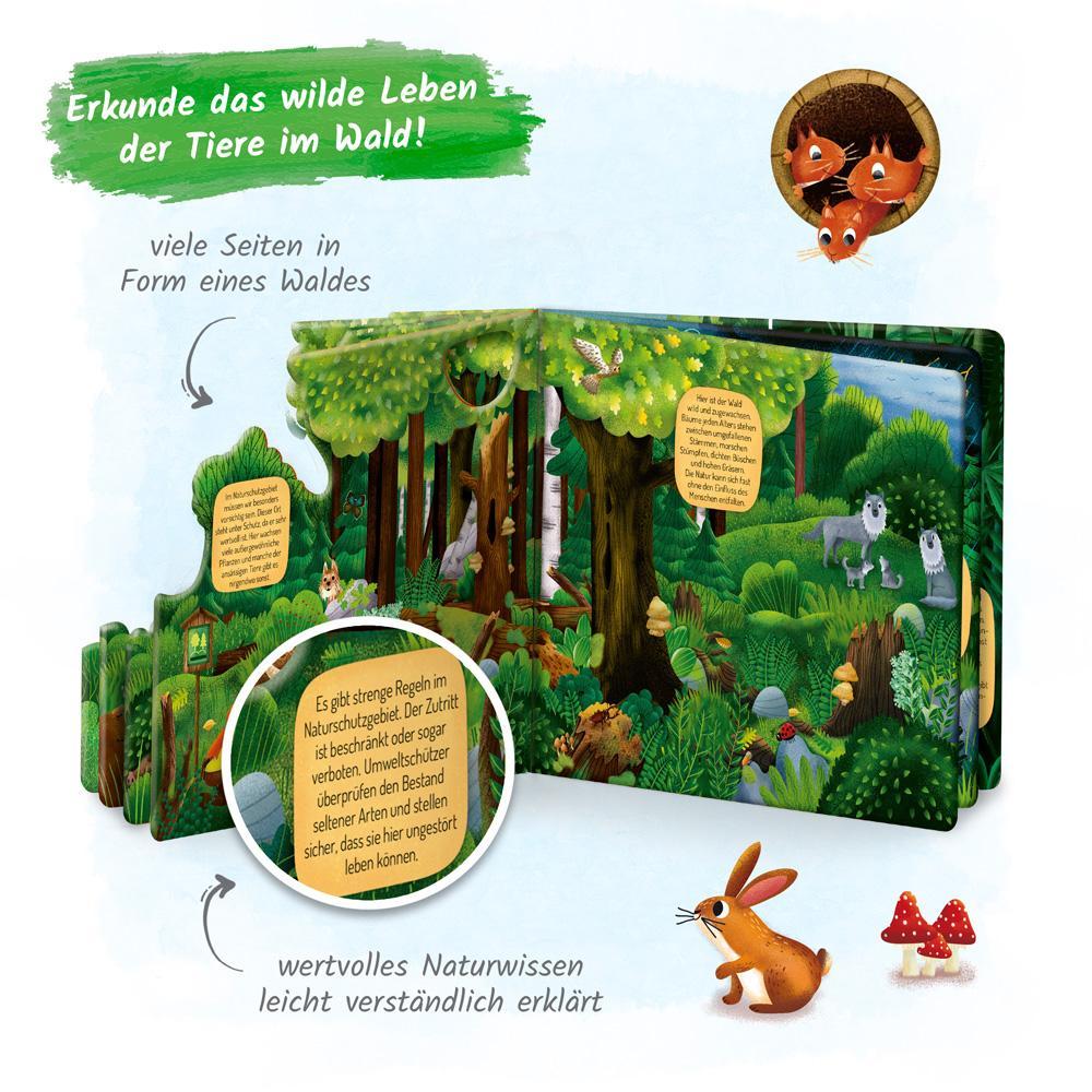 Trötsch Fensterbuch Im Wald