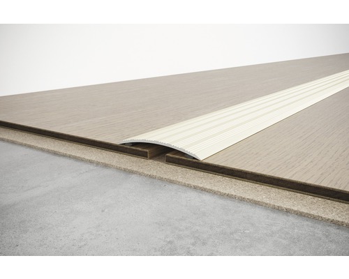 SKANDOR verstelprofiel champagne geanodiseerd zelfklevend 4,5x40x2700 mm