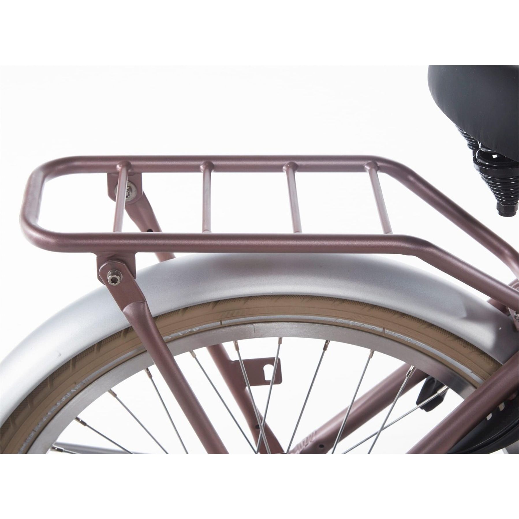 Alpina Cargo 22 inch Meisjesfiets 2026