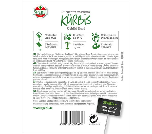 SPERLI Samen Kürbis 'Uchiki Kuri'