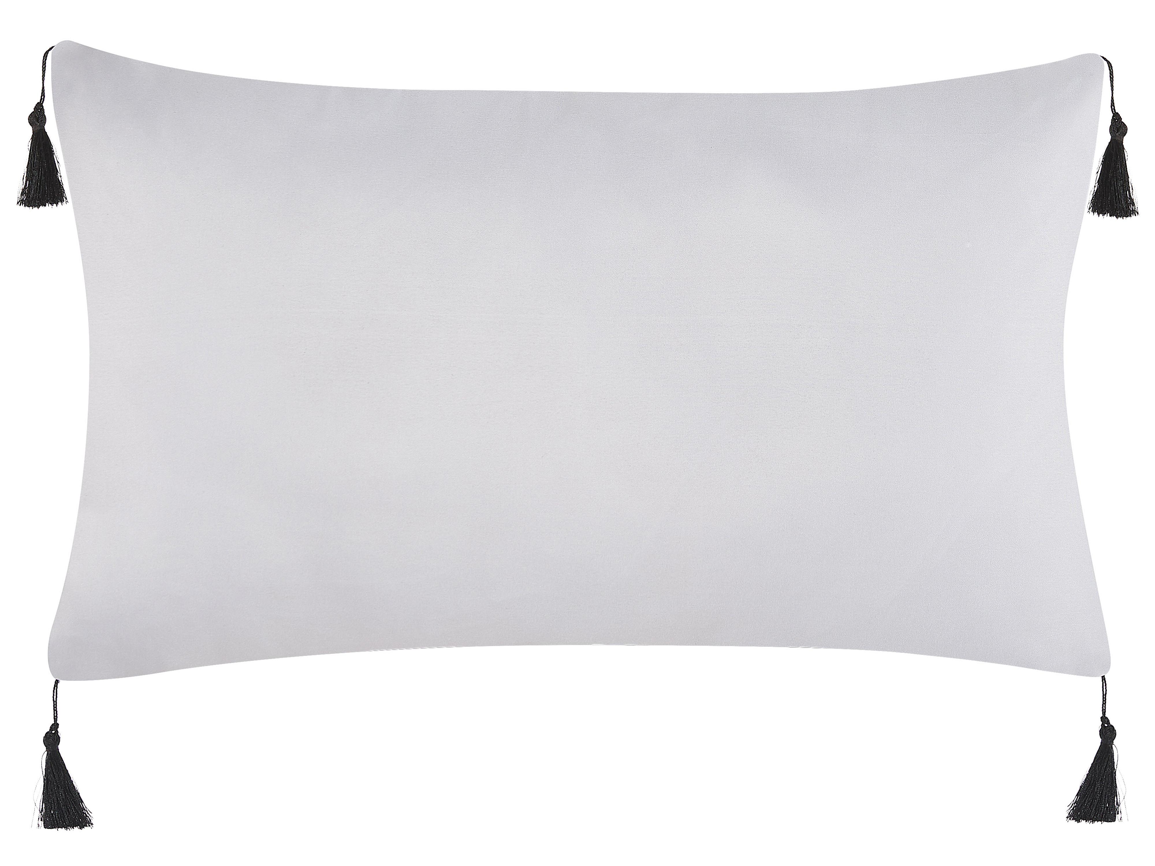 Set van 2 sierkussens LIRIOPE 30 x 50 cm Zwart/wit geometrisch patroon