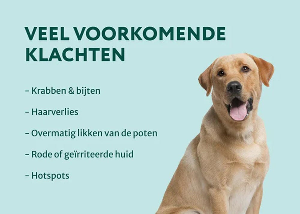 Dogsuppy Anti-Jeuk Spray - Probiotica - 250 Milliliter