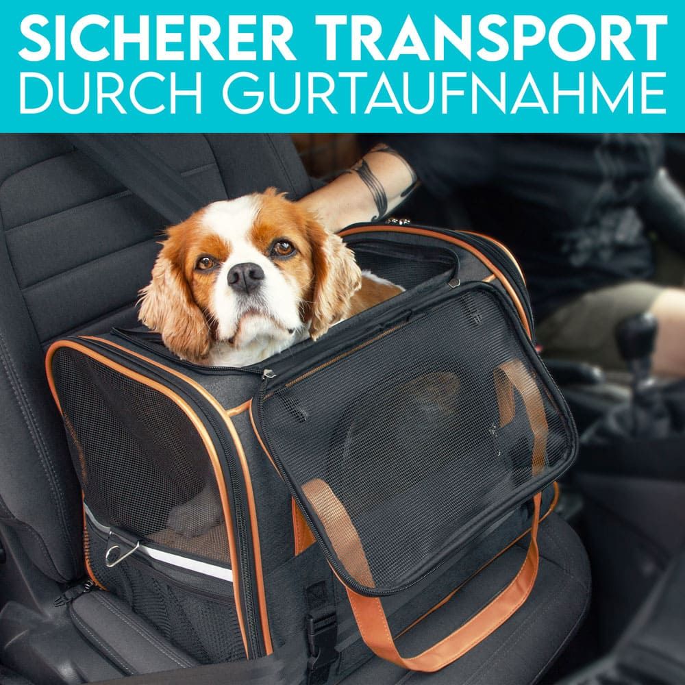 HUND IST KÖNIG® Hundetasche Katzentasche bis 8kg | robust & formstabil | faltbar & platzsparend
