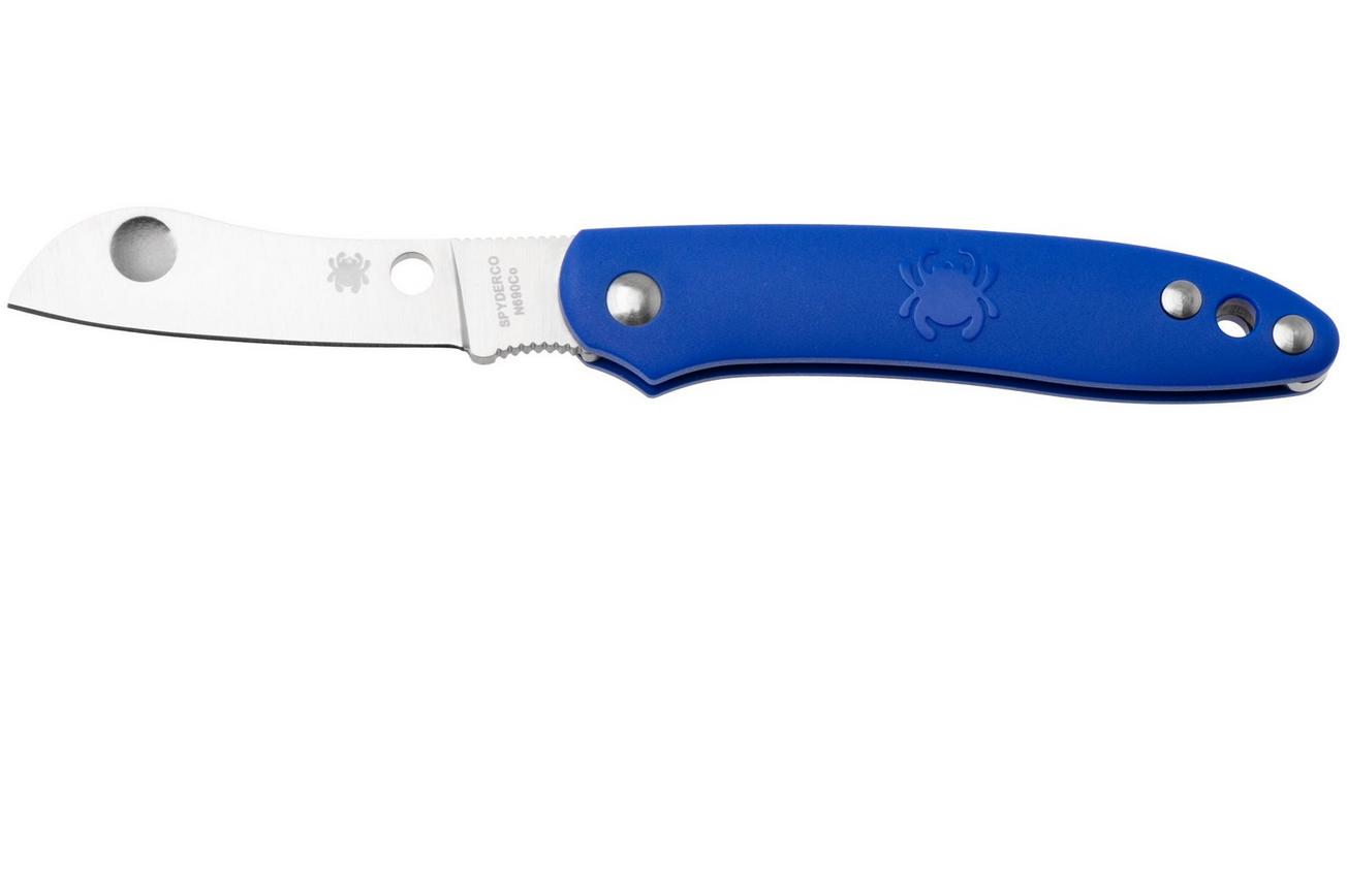 Spyderco Roadie Blue C189PBL zakmes