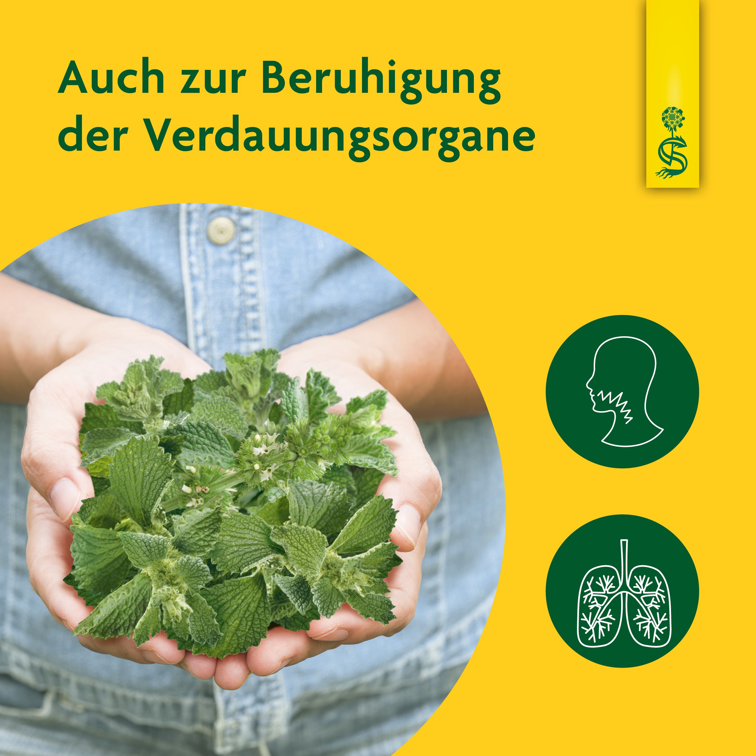Schoenenberger® naturreiner Heilpflazensaft Andorn