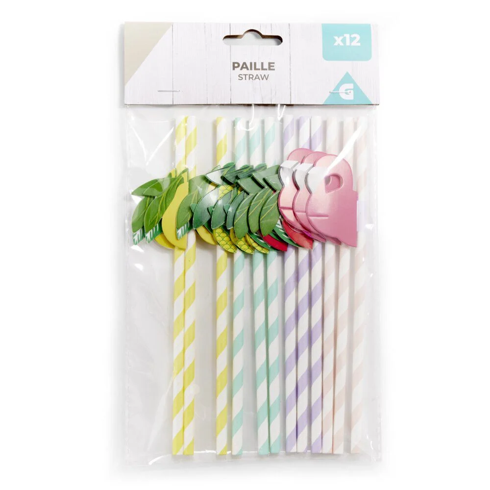 Lot de 12 pailles en papier design fruit