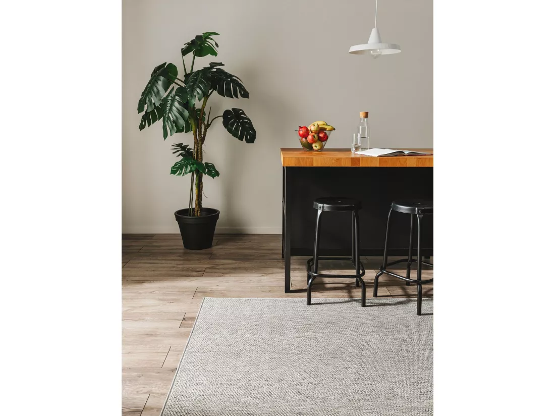 Tapis d'extérieur & intérieur Iowa Gris clair 160x230 cm
