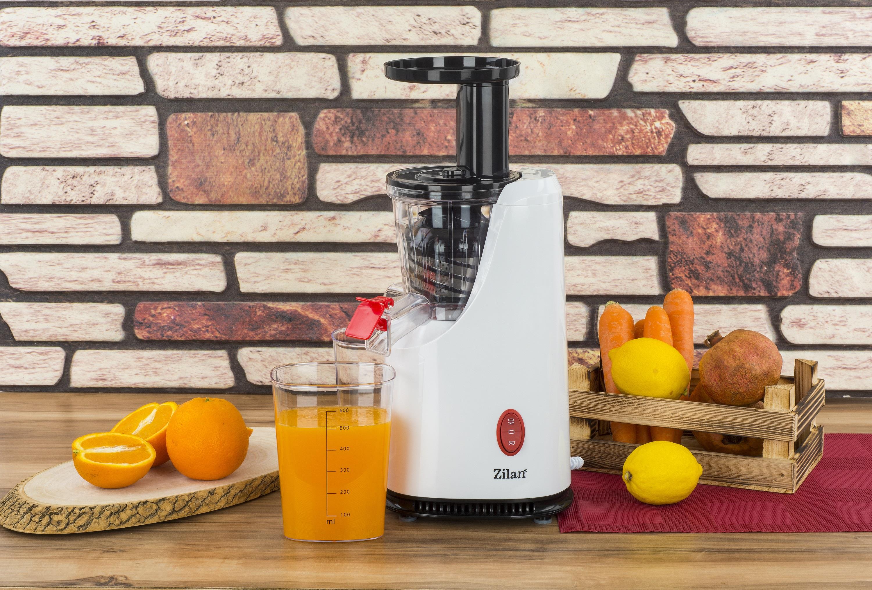 Zilan Entsafter Slow Juicer Saftpresse Edelstahlklinge 600ml 200W
