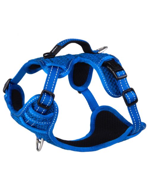 Rogz Explore Tuig Gevoerd Blauw - Hondenharnas