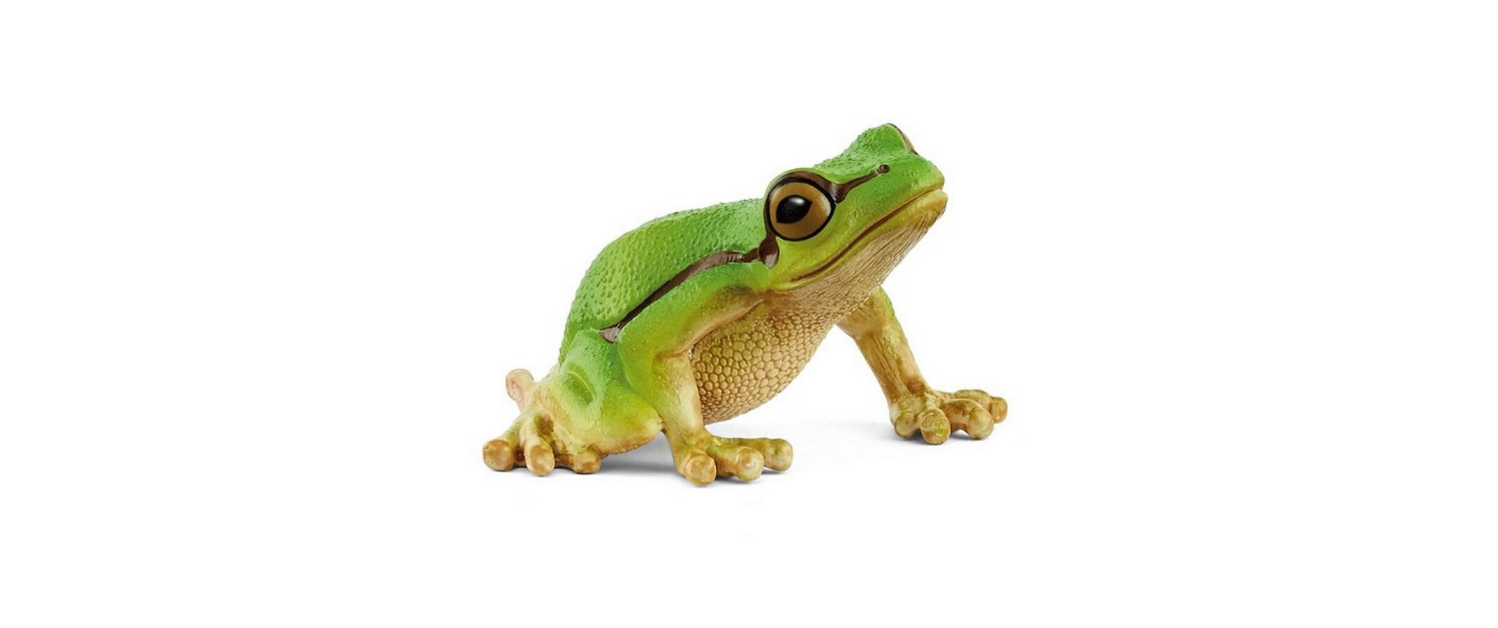 Spielzeugfigur Wild Life Europäischer LaubfroschHochwertige Tierfigur