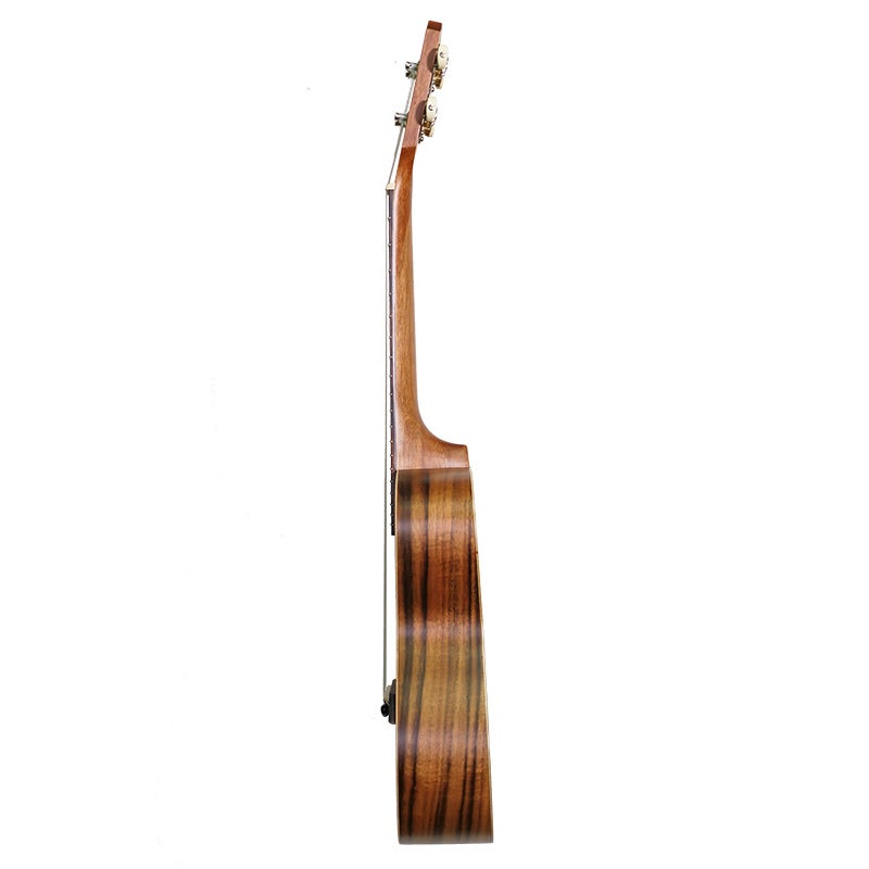 Islander AC-4 concert ukelele acacia