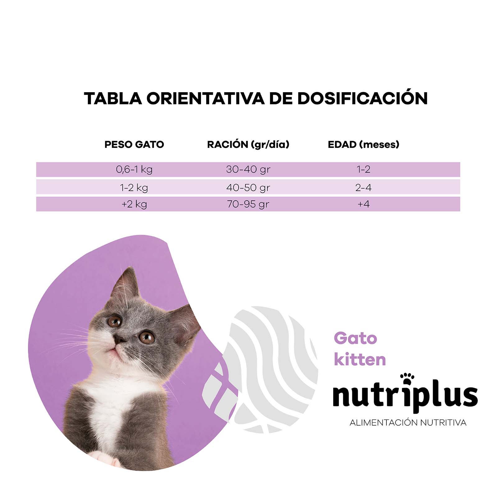 NUTRIPLUS GATINHOS (2 KG)