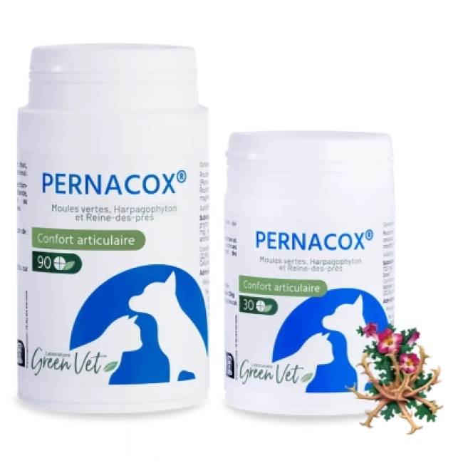 Pernacox confort articulaire pour chien et chat GreenVet