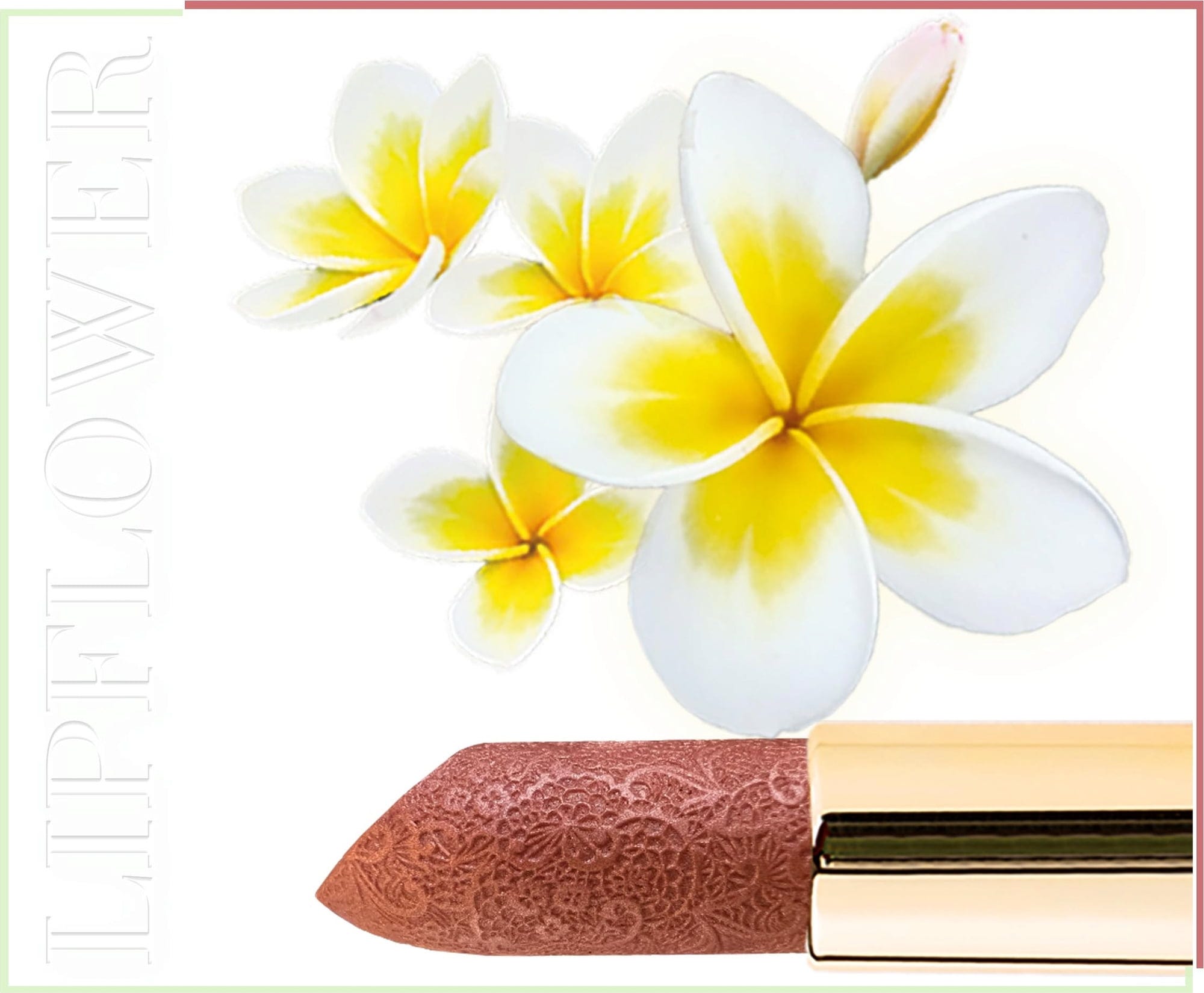 Shaoyun  Lip Flower Frangipani Nr. 197, 3,60 g