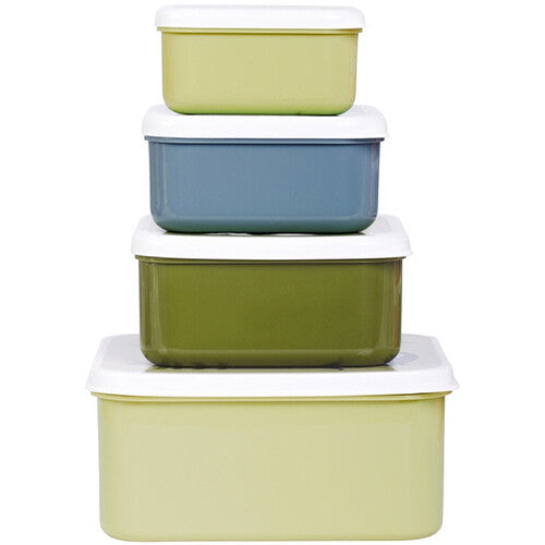 A little lovely company lunchbox set - dinosaurussen - 4st