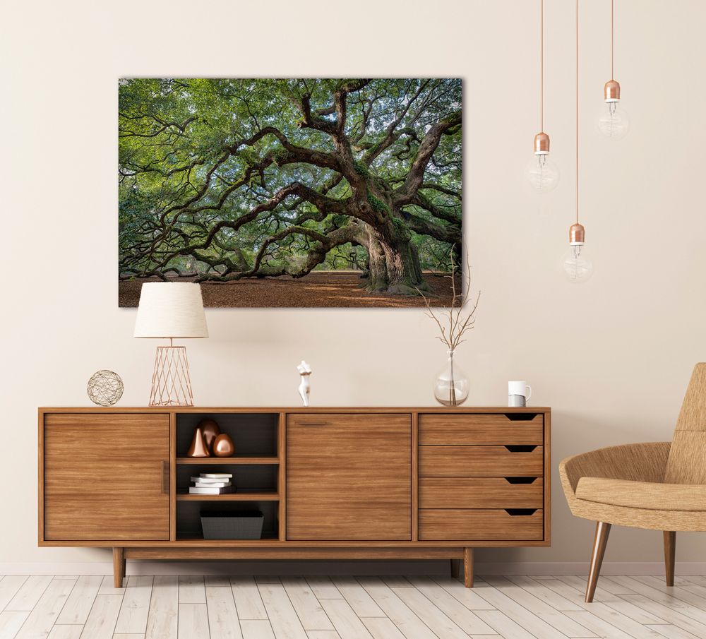 Acrylglasbild FASZINATION BAUM
