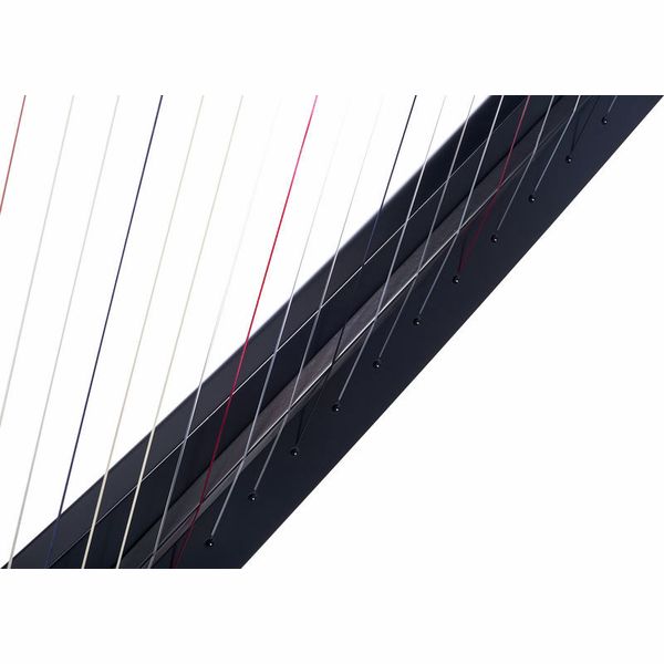 Salvi Delta Electric Harp