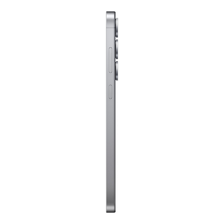 Samsung Galaxy S25+ 5G (Gris) - 256 Go