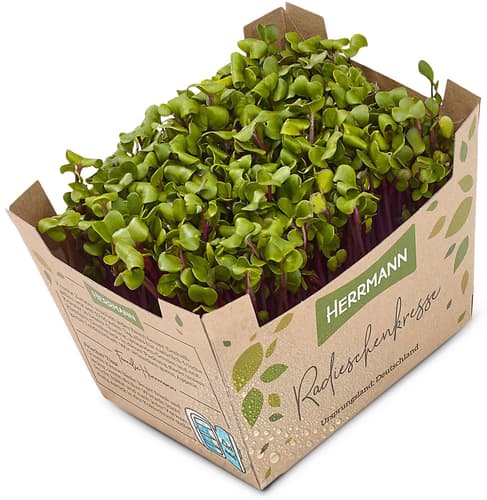 Bio Radieschenkresse, Schale