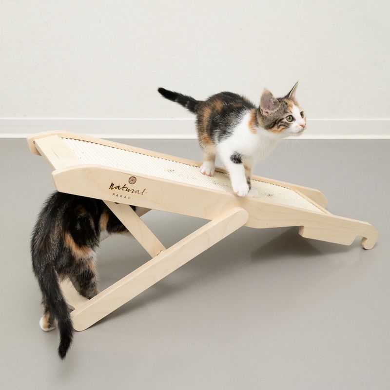 Griffoir Natural Paradise Poppy pour chat