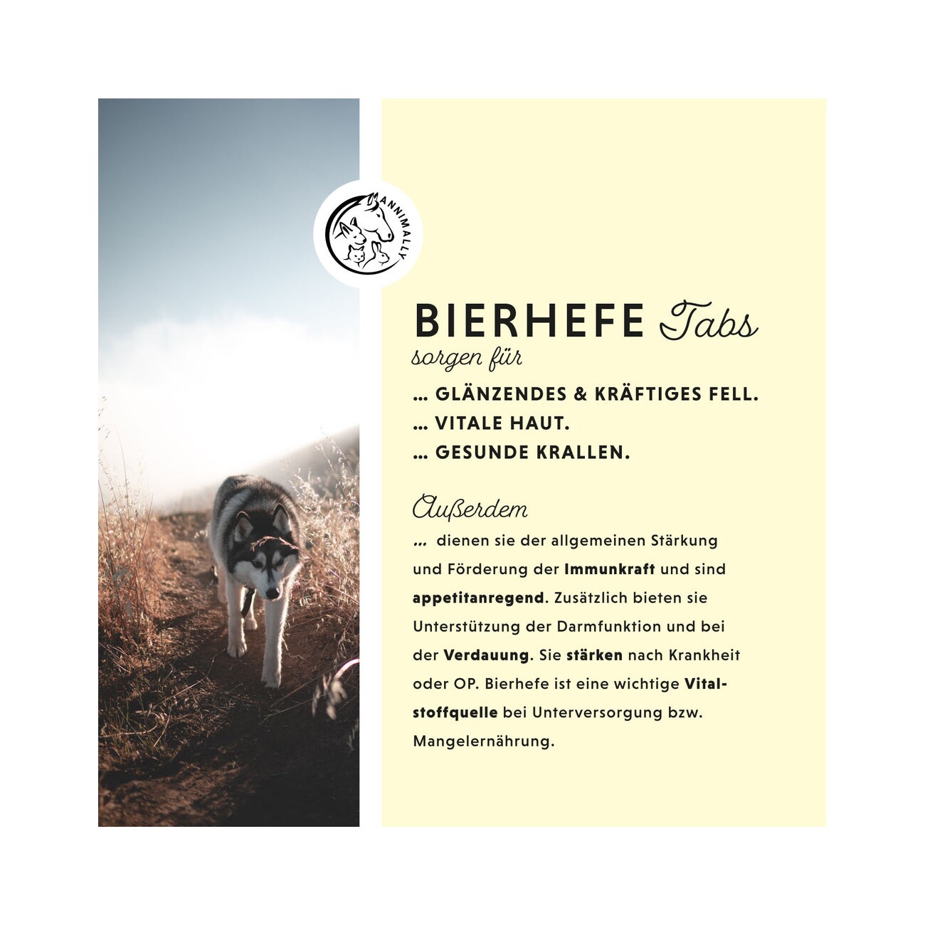 Annimally Bierhefe Tabletten 100 Stück