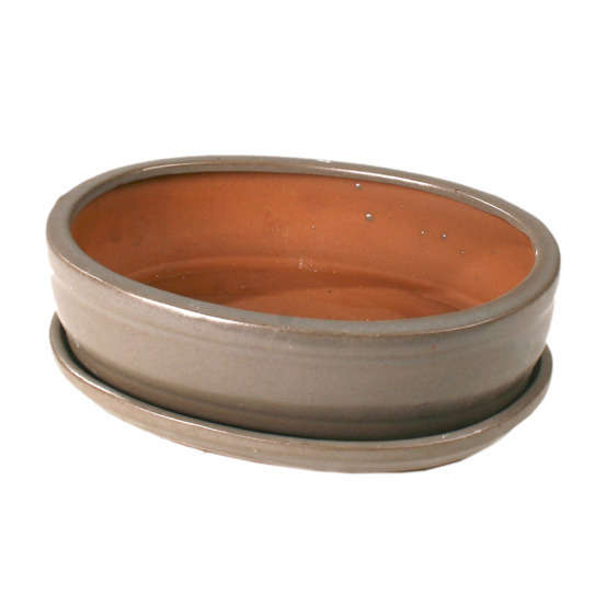 Poterie bonsaï + soucoupe, en terre cuite émaillée L. 21 x l. 16 cm