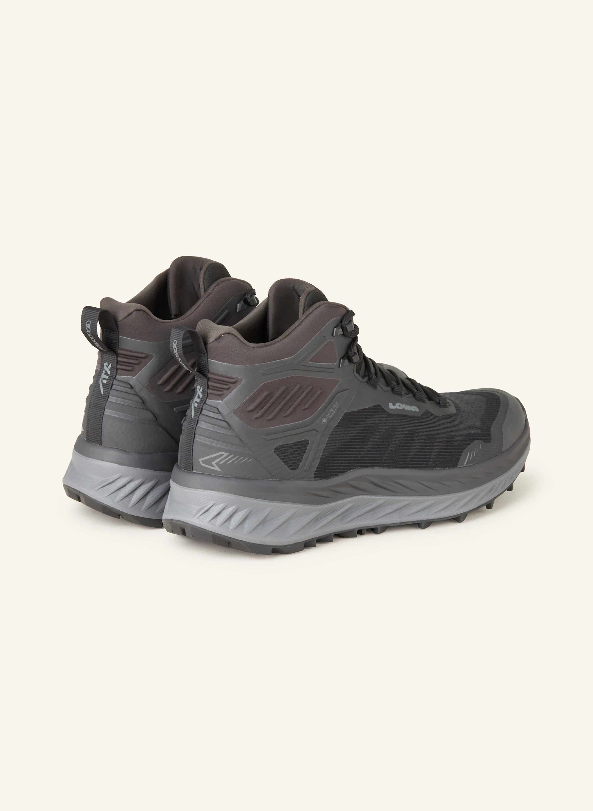 LOWA Wanderschuhe RENEGADE EVO ICE GTX