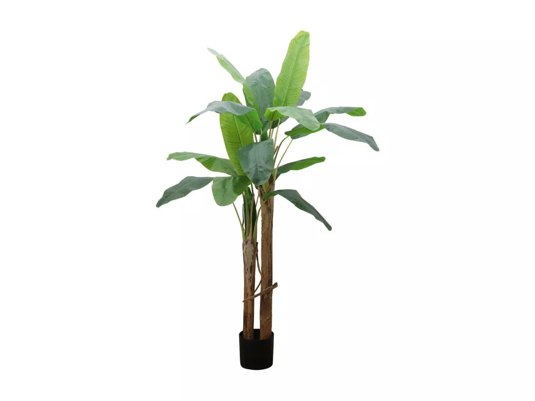 Bananier artificiel 2 troncs hauteur 185 cm