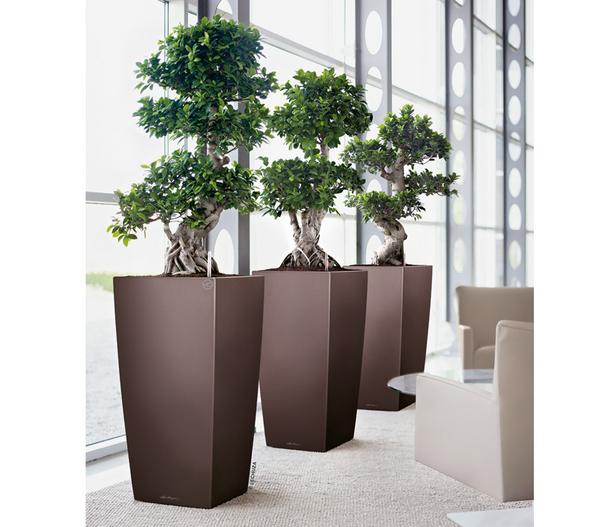 LECHUZA® CUBICO Premium, All-in-One-Set