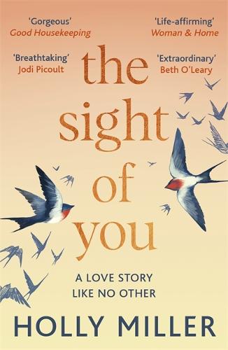 The Sight of You (Paperback)