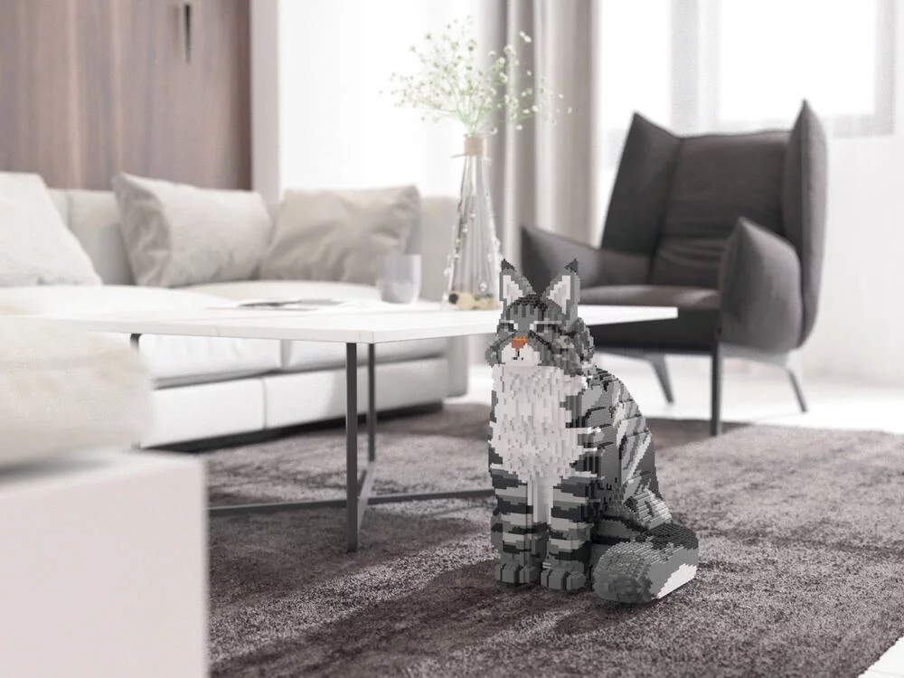 JECKA BLOCS DE CONSTRUCTION -CHAT MAINE COON GRIS ASSIS