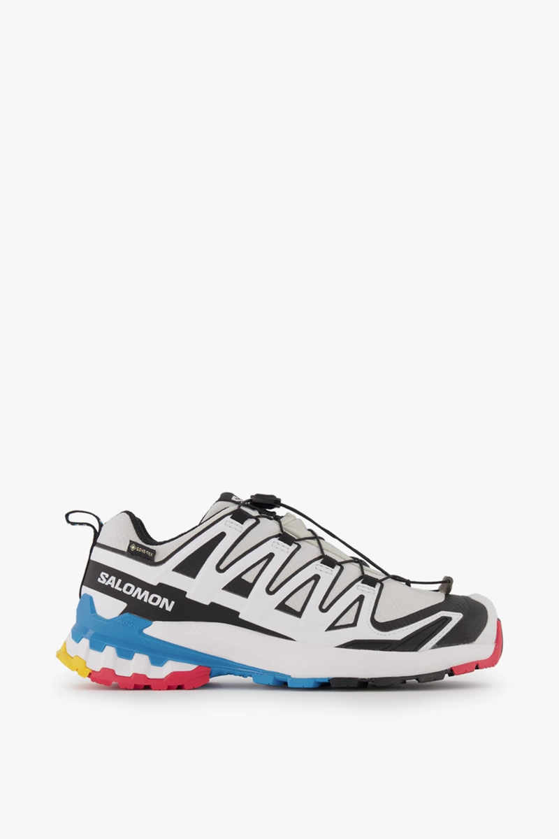 Salomon XA Pro 3D V9 Gore-Tex® Damen Trekkingschuh