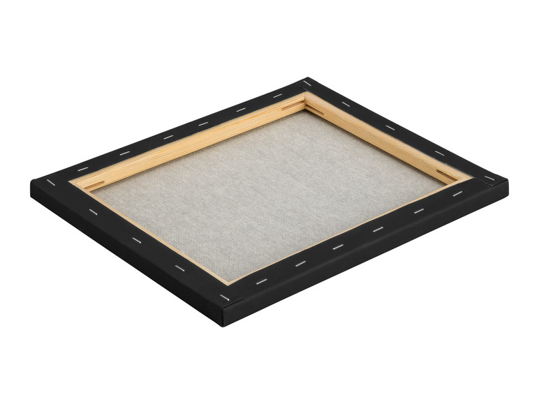 Canvas / canvasset