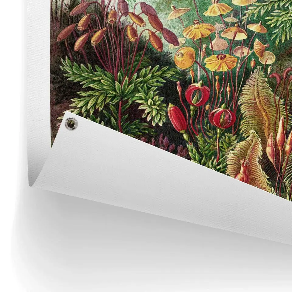Tuinposter Sea Flora - 80x60cm - Groen