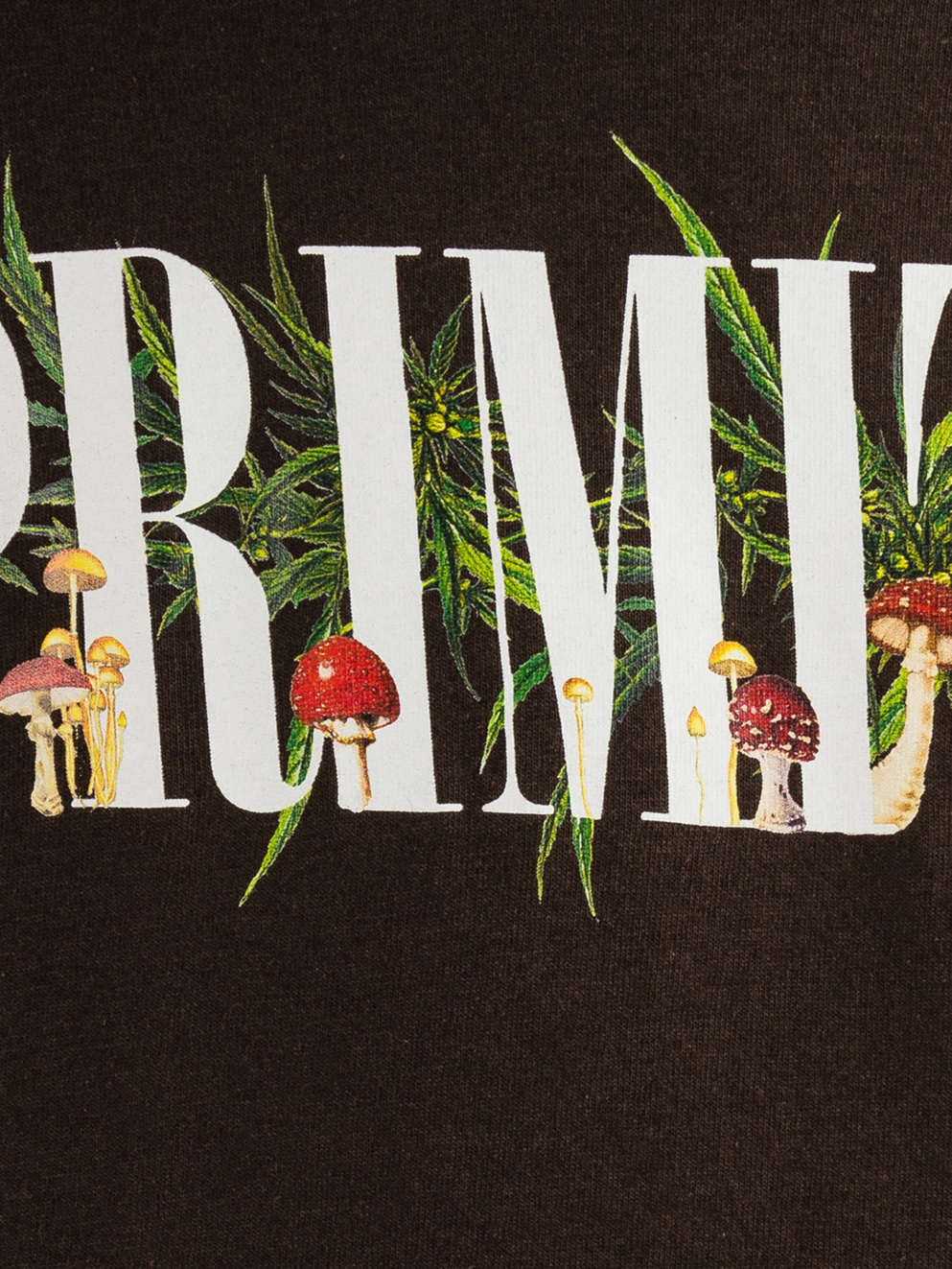 Primitive Selection T-Shirt brown