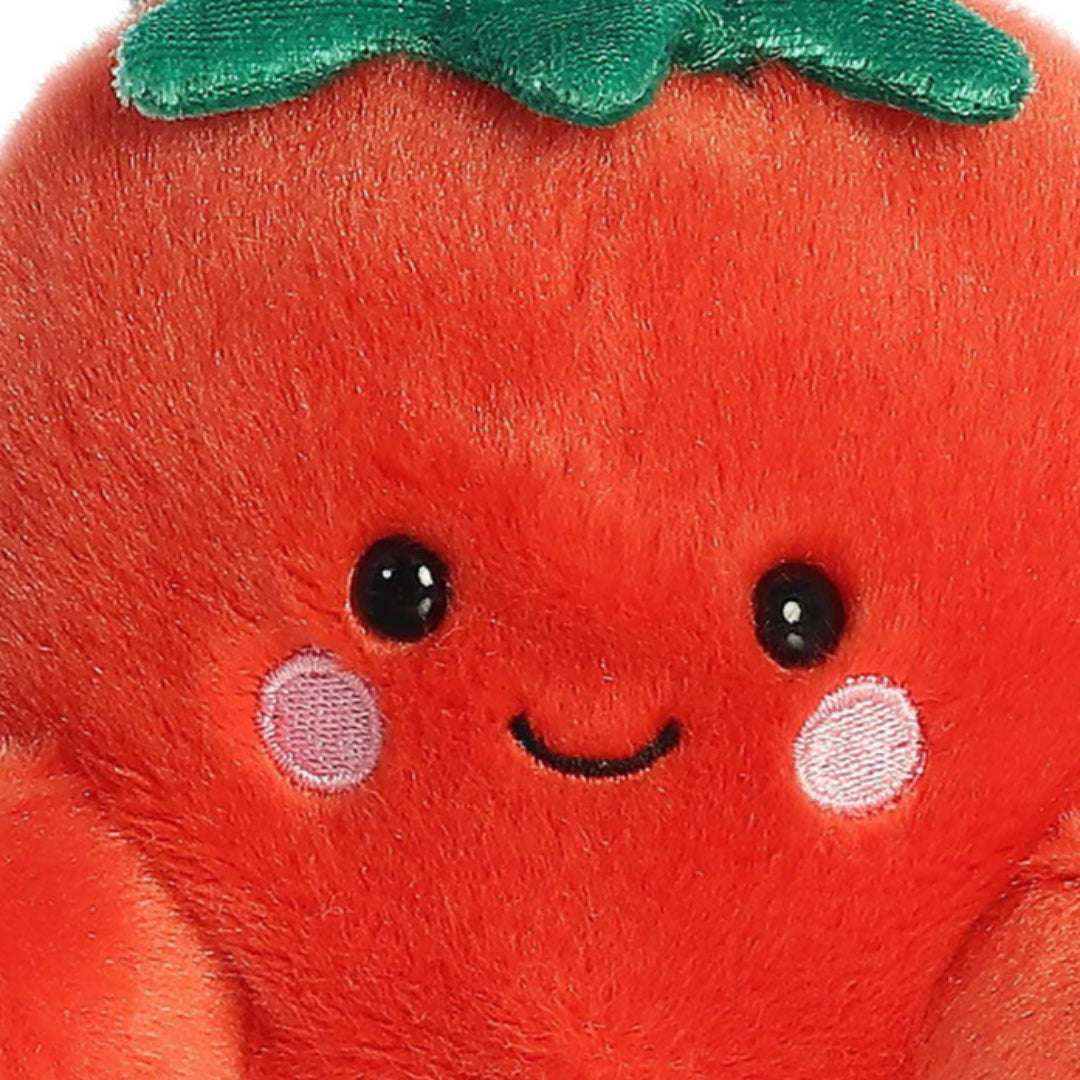 palm pals knuffeltomaat boyd - 13 cm