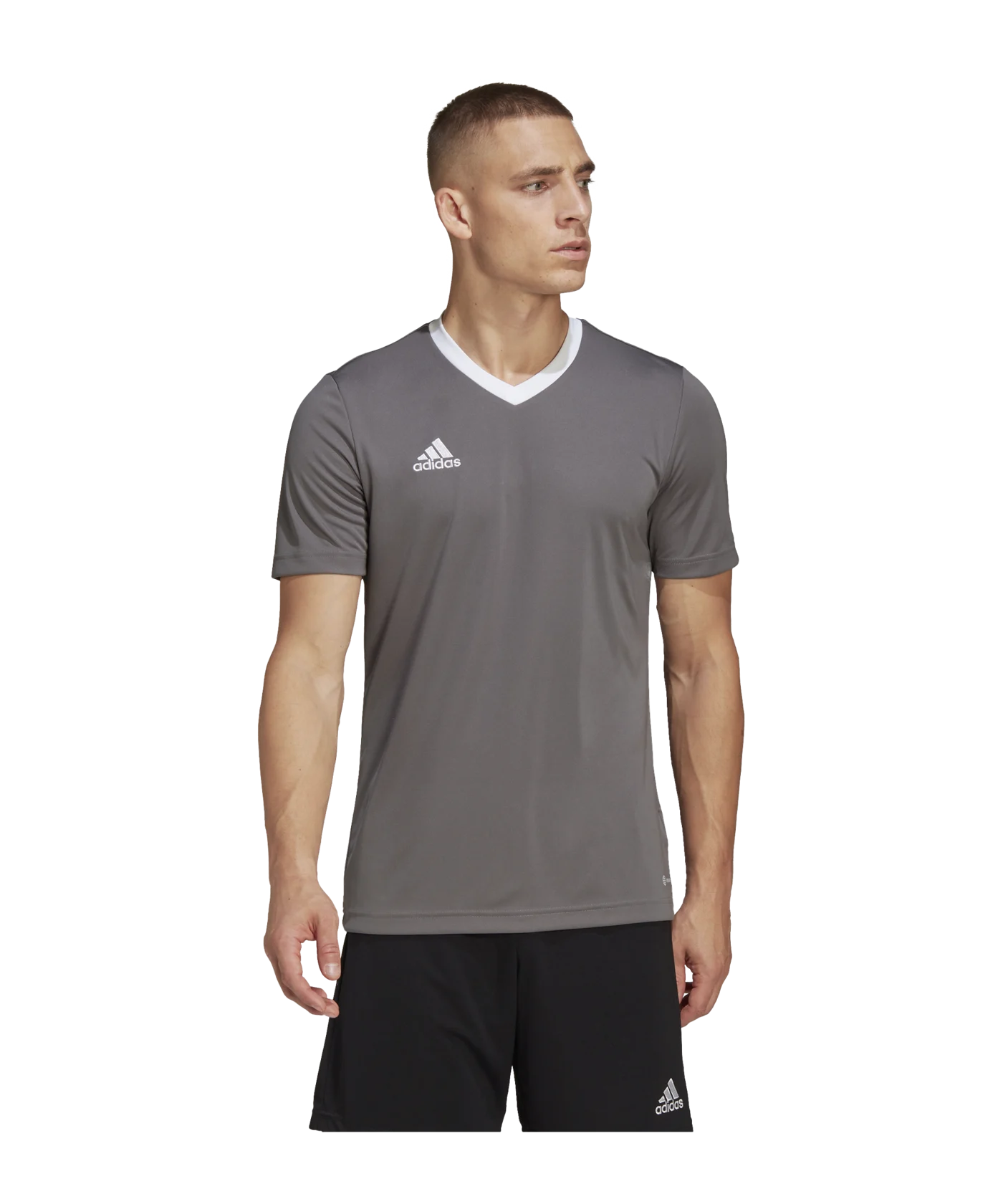 adidas Entrada 22 Trikot Grau Weiss