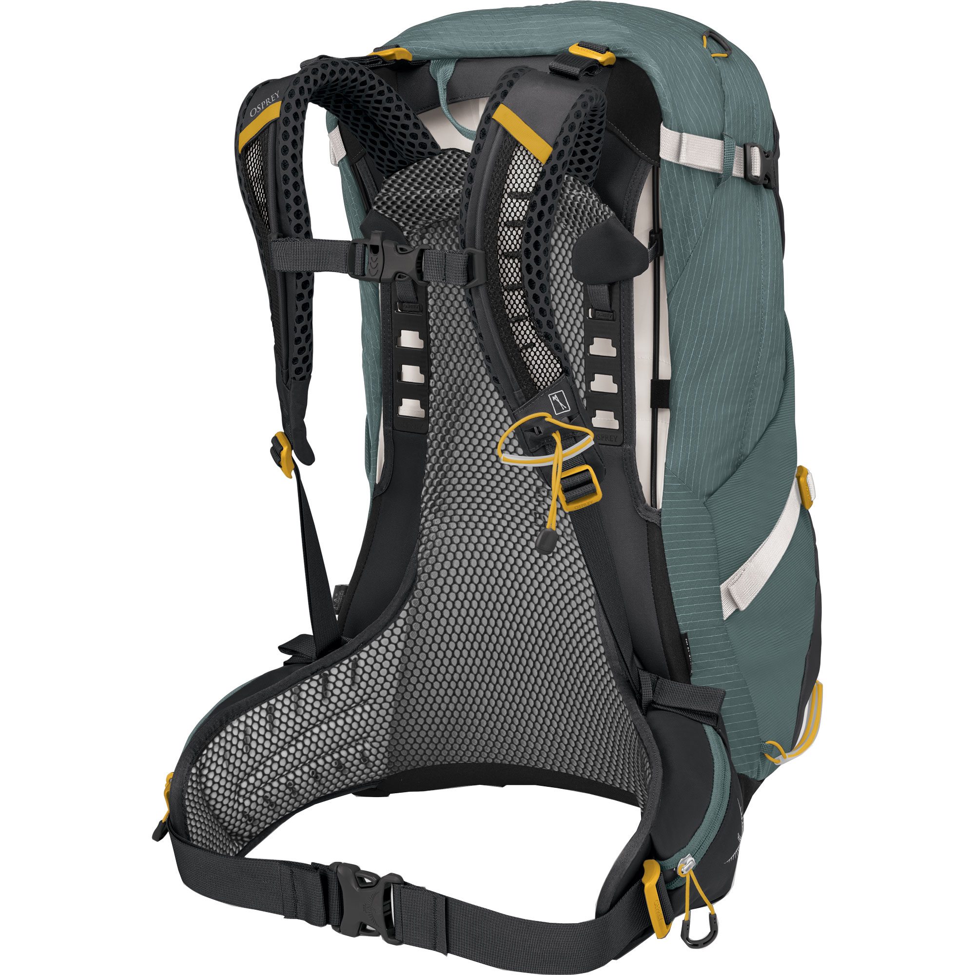 Osprey Sirrus™ 34l Trekkingrucksack Damen succulent green