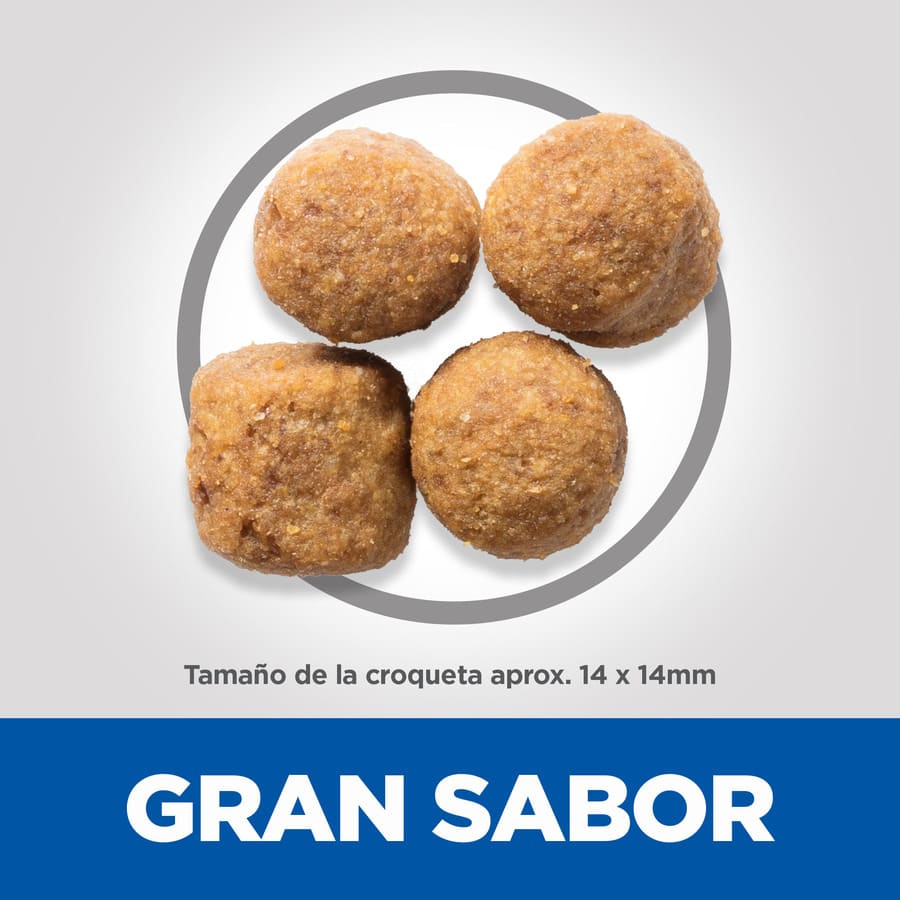 Ração Hill's Science Plan para cães adultos de porte grande com sabor de frango