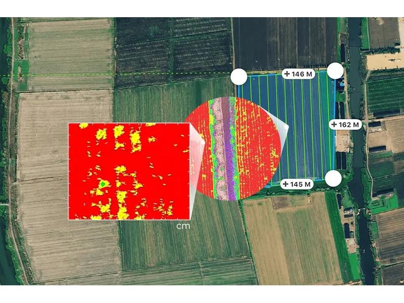 DJI Enterprise Multikopter Phantom 4 Multispectral DJI Care Zuverlässige Drohne für Land- und Forstwirtschaft