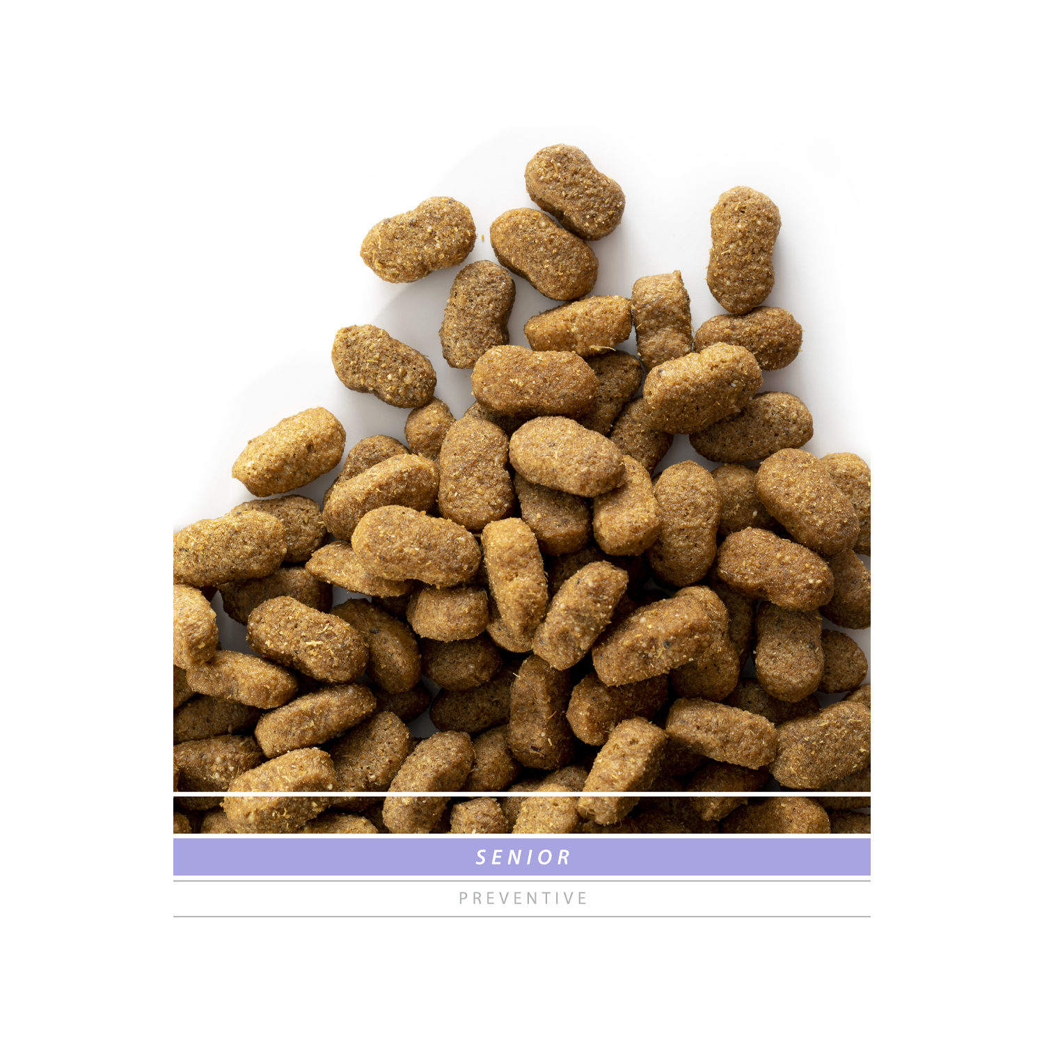 SANIMED Senior Dog