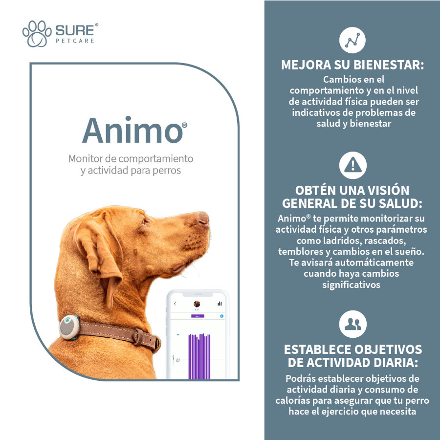 Monitor de comportamento Sure Petcare Animo para cães