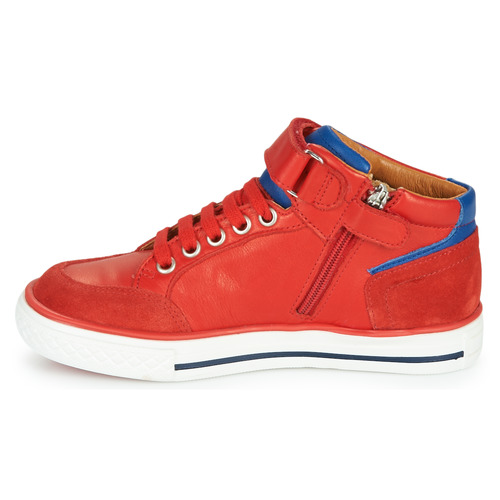 GBB - ALIMO - Rouge