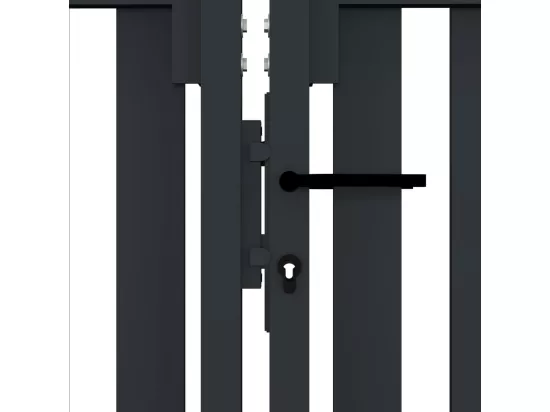 Portail de clôture à double porte Acier 306x125 Anthracite
