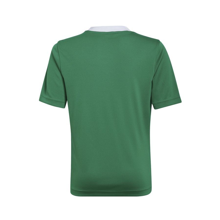 adidas T-shirt d'Entraînement Entrada 22 - Vert/Blanc Enfant