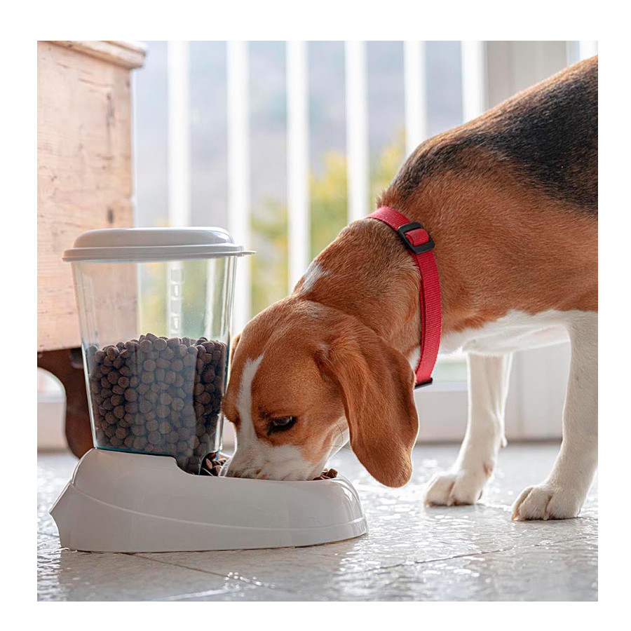 Dispensador de ração para animais de estimação Ferplast Zenith