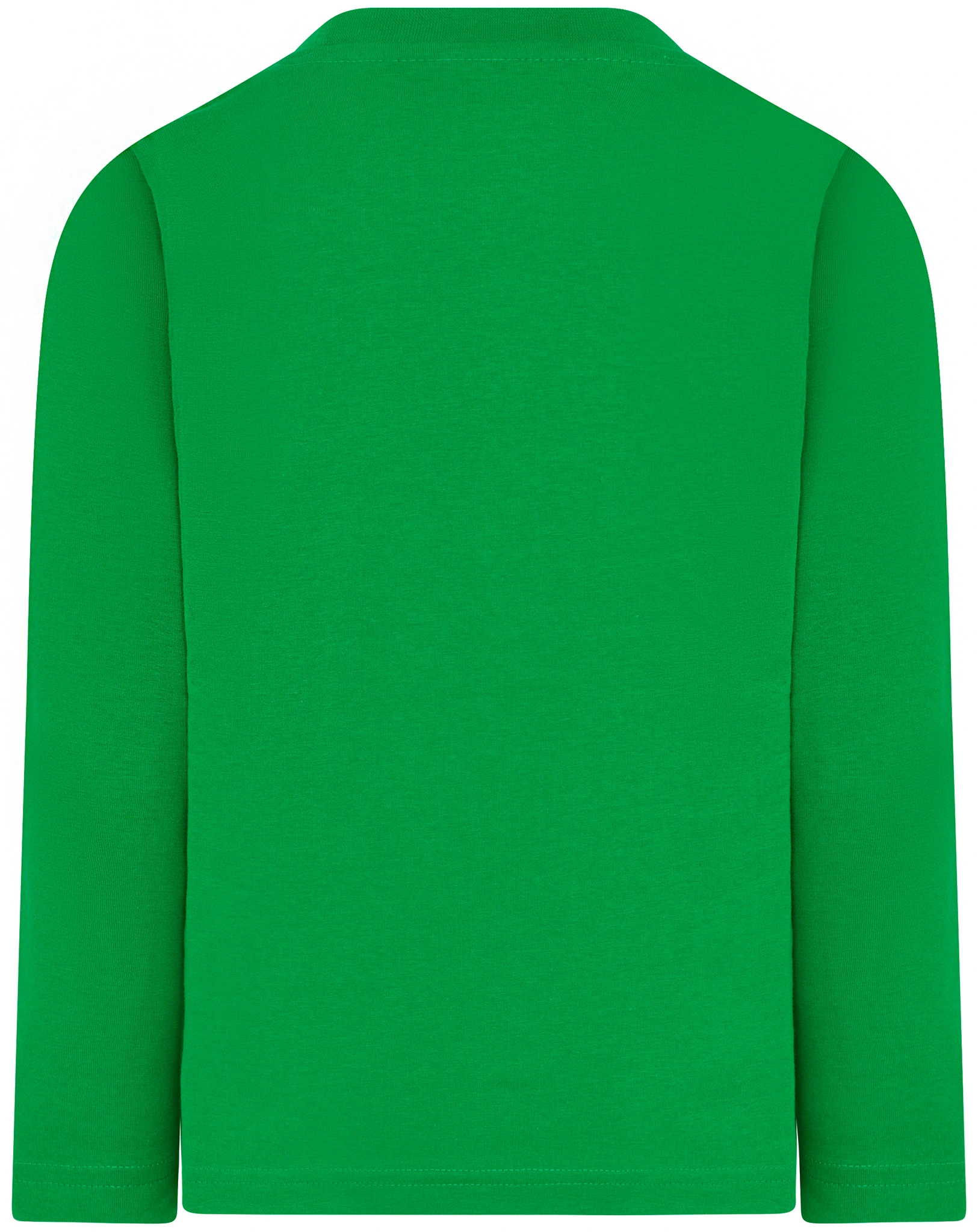 Langarmshirt LWTAYLOR 614 in grün
