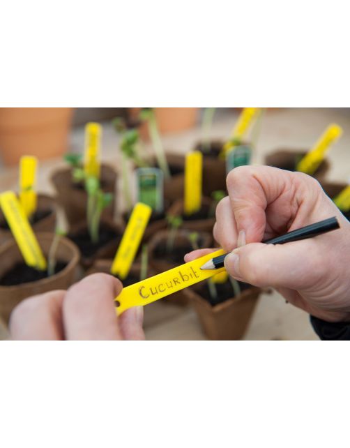 Nature Plantenetiketten - Kweekbenodigdheden - 0.1x1x10.5 cm Geel 25 stuks