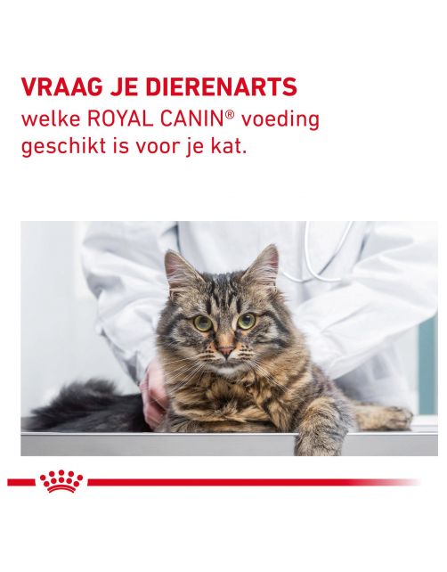 Royal Canin Veterinary Diet Fibre Response - Kattenvoer