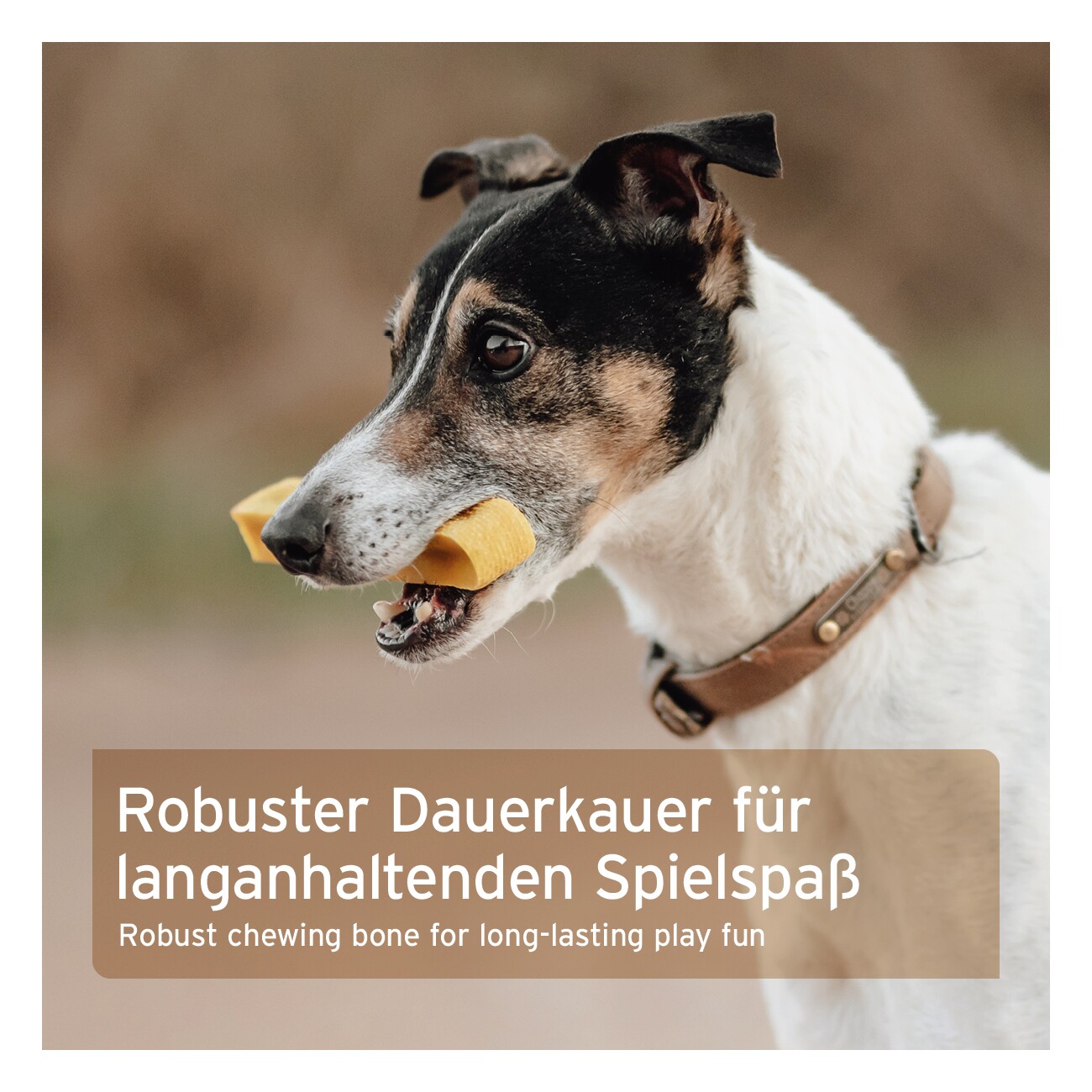 AniForte Käsekauknochen für Hunde 34 g